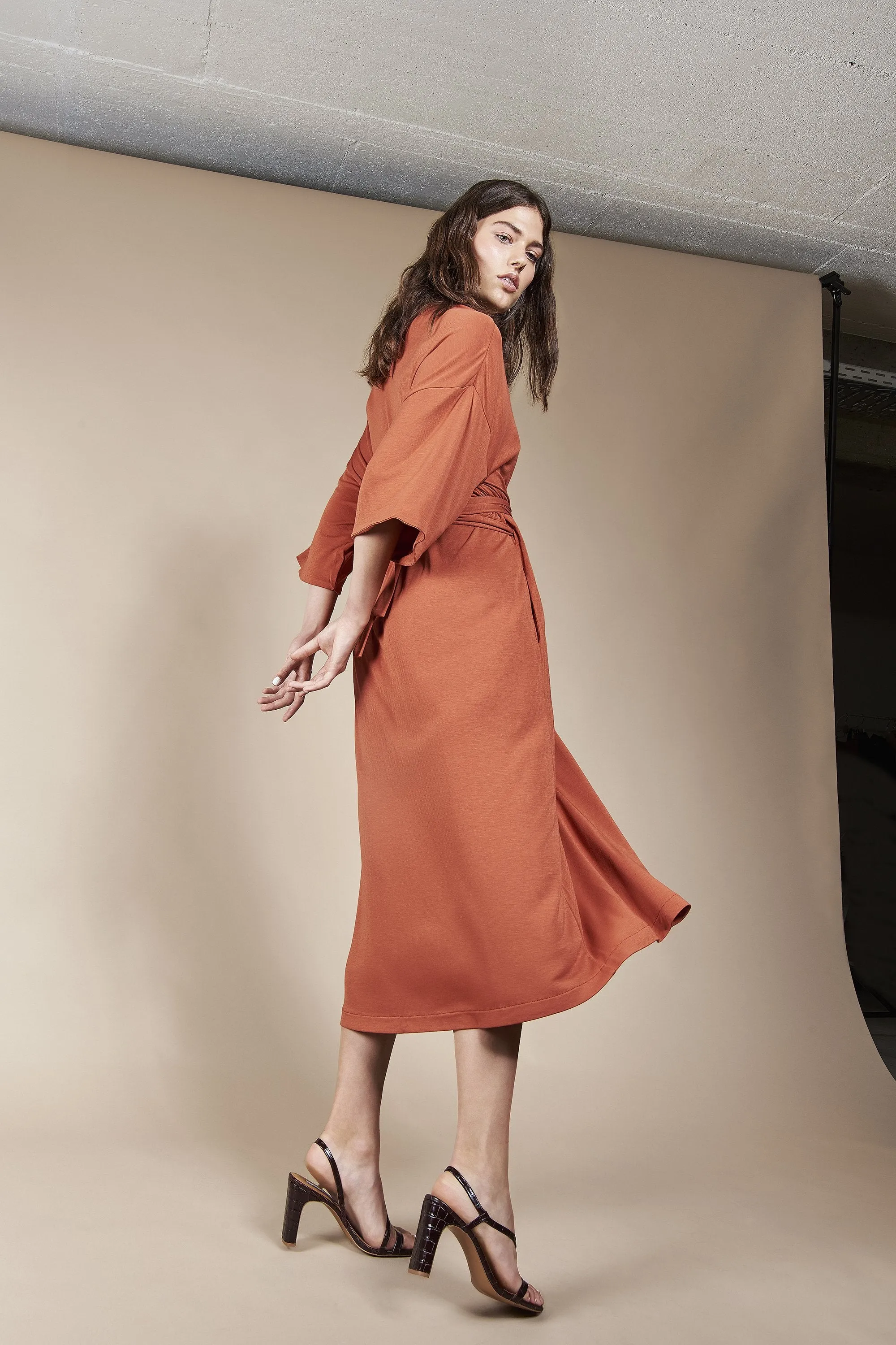 airi dress rust